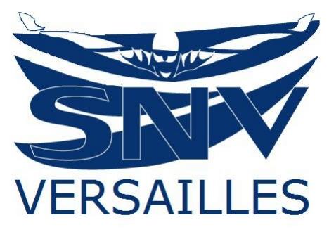 logo snv bleu sans texte